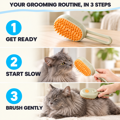 Three gentle grooming steps: get ready, let the cat inspect the brush, then brush gently